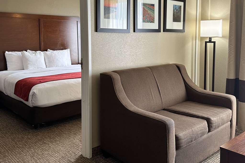 Comfort Suites Airport Шарлотт Номер фото